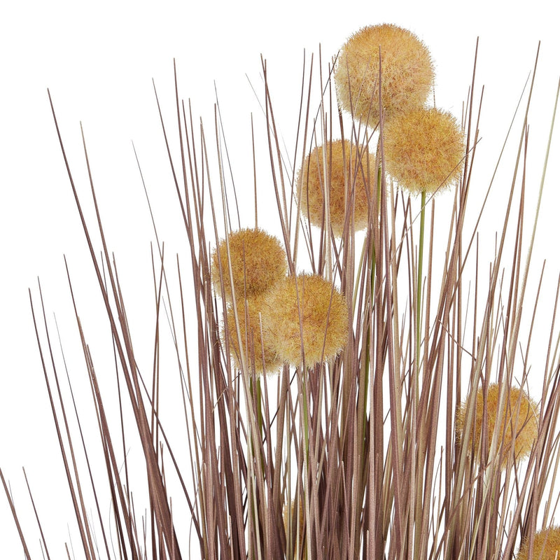 Large Coffee Pompom Alliums In Black Pot